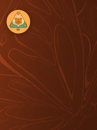 Explorer stage visual representing curiosity, courage, and stepping into the unknown in GOLIVEA’s Hero’s Journey.