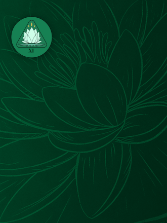 Sage stage visual representing wisdom, awareness, and deep understanding in GOLIVEA’s Hero’s Journey.